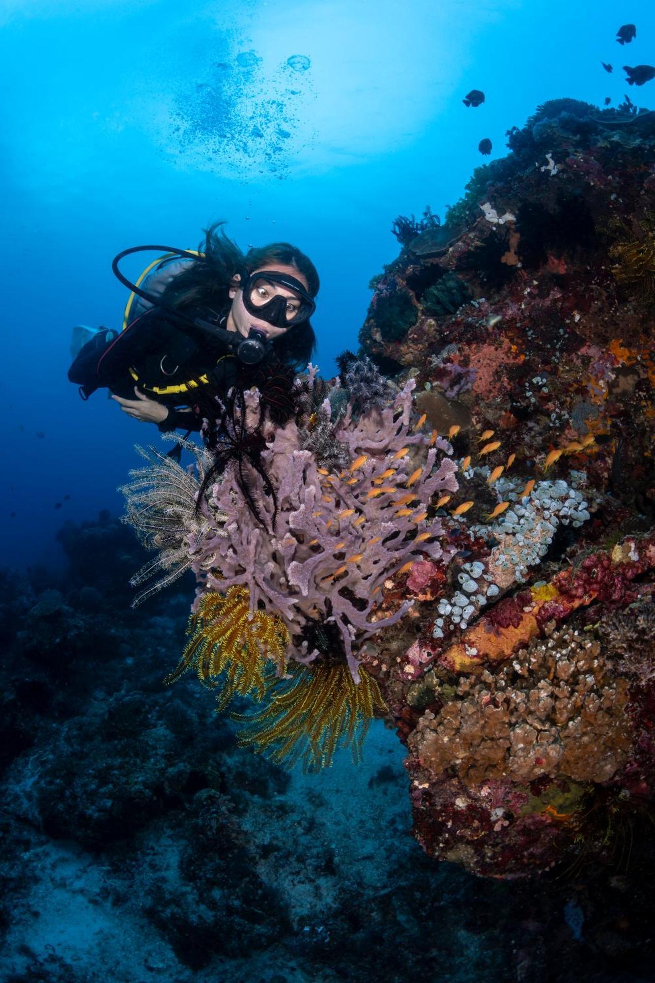Emoha Dive Resort Santander Eksteriør bilde