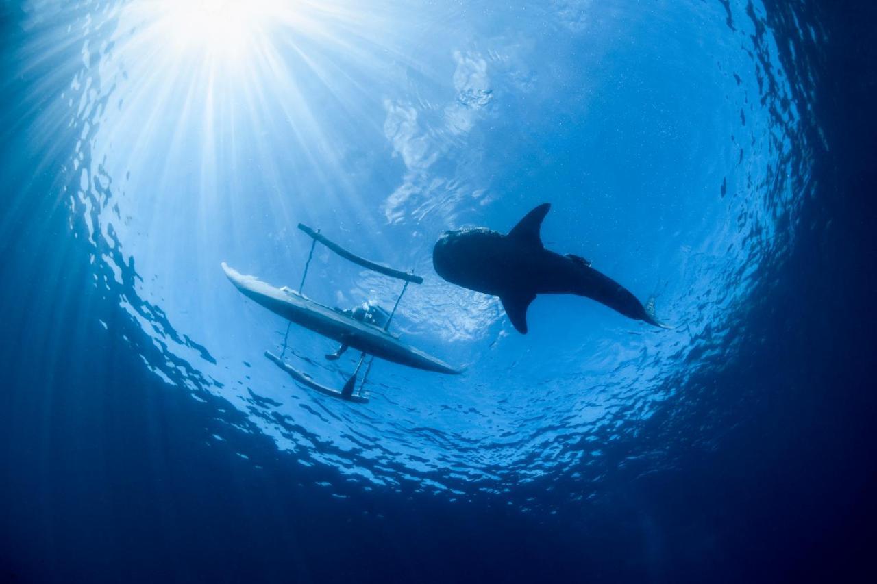 Emoha Dive Resort Santander Eksteriør bilde