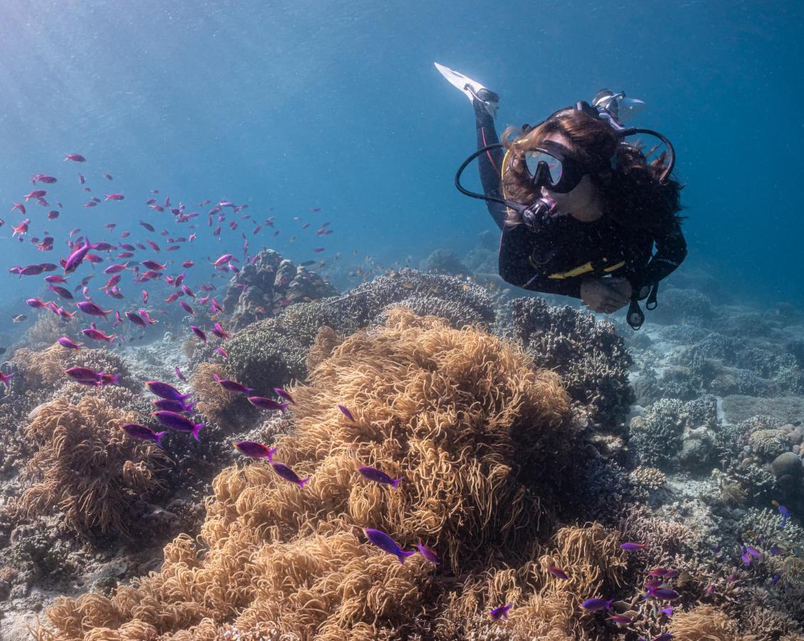 Emoha Dive Resort Santander Eksteriør bilde